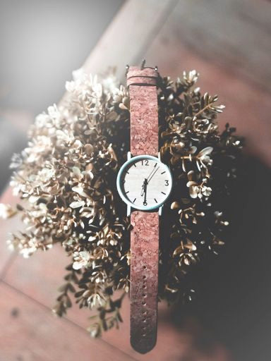 Montre en bois femme