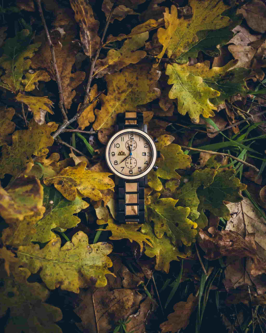 Montre en bois homme