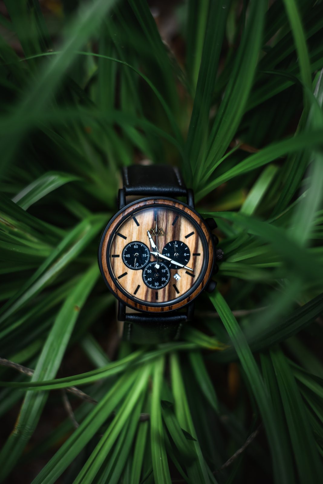 Montre en bois The Wood Stock posée dans un feuillage vert
