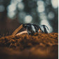 Lunette en Bois Homme - Clubmaster Ricky