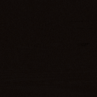 Montre en Bois Homme Automatique - Indy