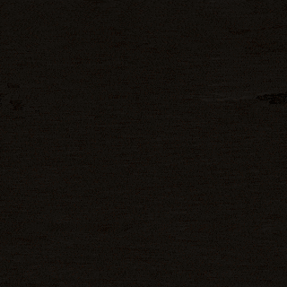 Montre en Bois Homme - Zebra Marshal