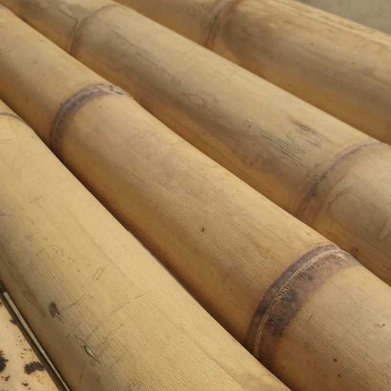 Bois de bambou &mdash; lunettes en bois The Wood Stock